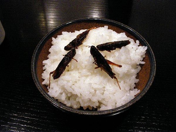 I migliori piatti giapponesi